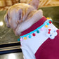 Small Dog Thick Warm Clothes