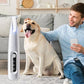 🎅Christmas Specials 50% OFF🎁🎁Pet Paw Precision Trimmer