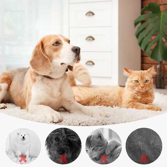 🔥Last Day Promotion 50% OFF-Pet Spray Hair Removal Comb